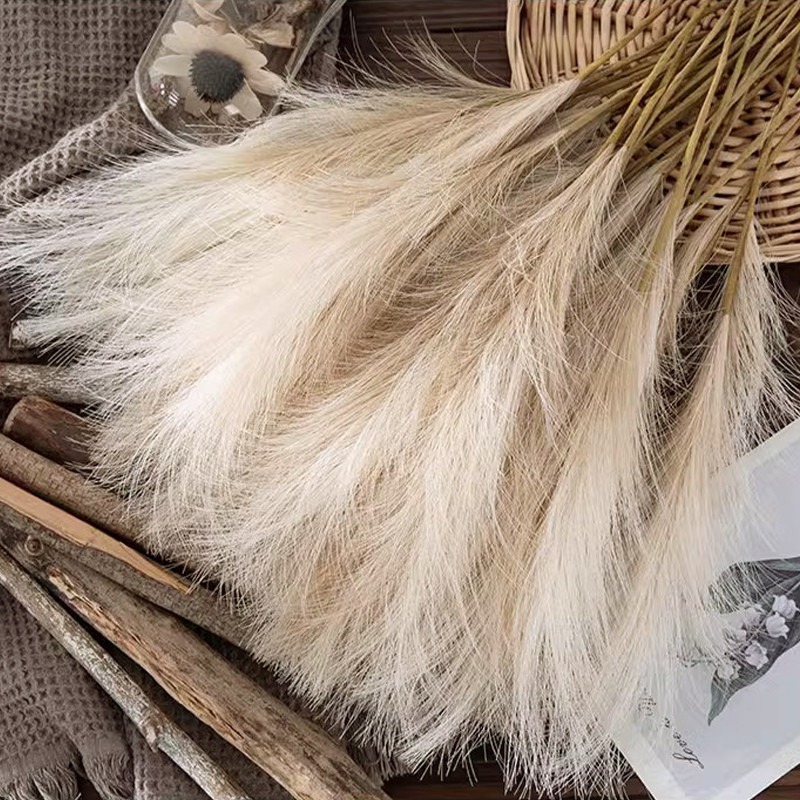 Pampas Grass Decor - 5 قطع/مجموعة زهور صناعية من عشبة