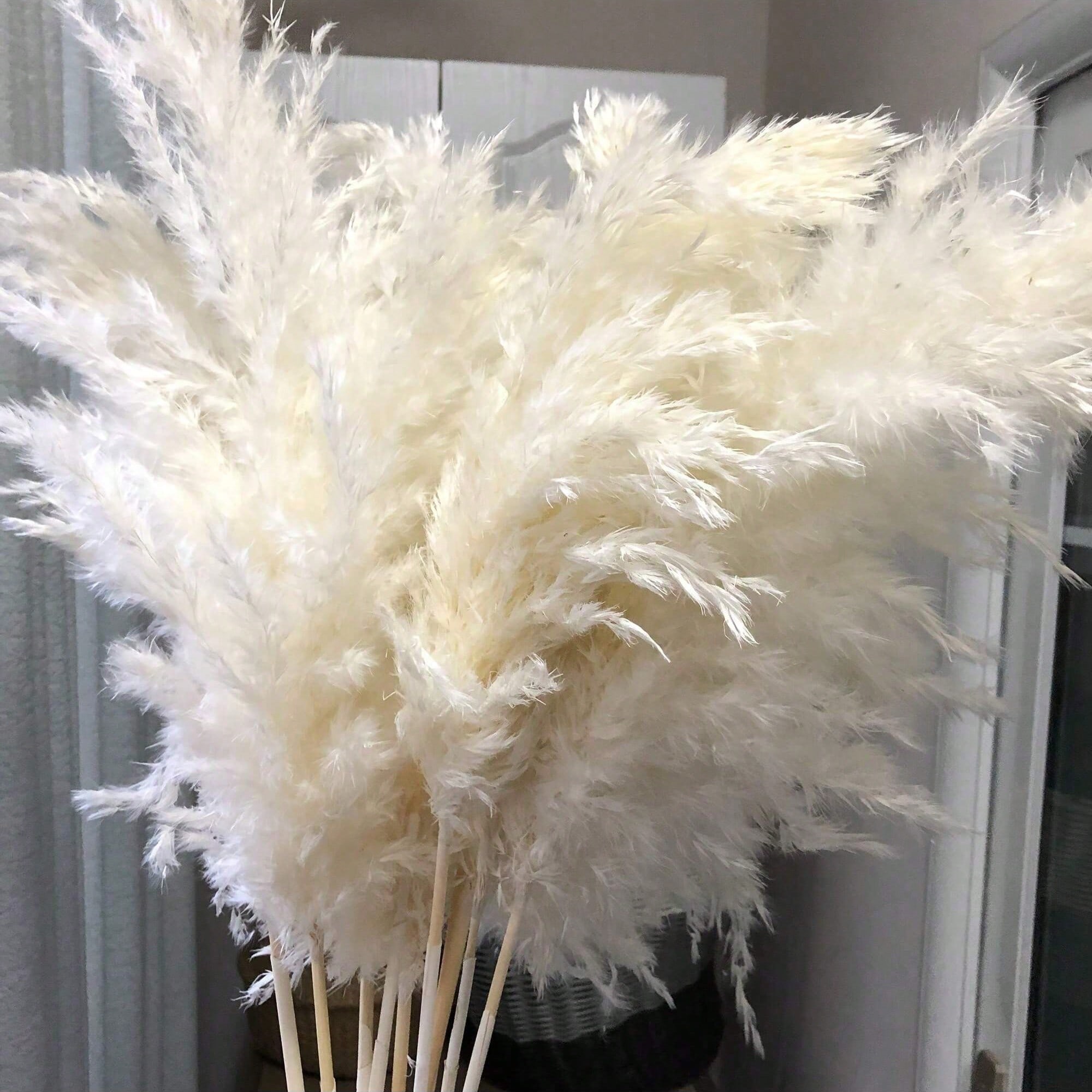 Pampas Grass Decor - 10/20/30 قطعة من عشب البامباس الاصطناعي