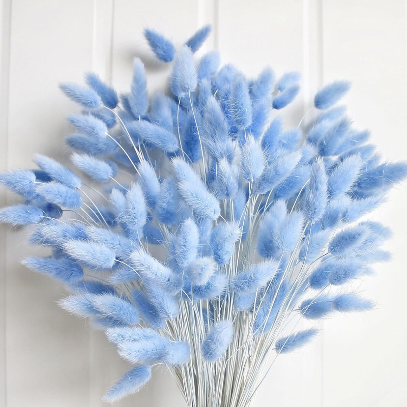 Pampas Grass Decor - 100 قطعة ذيل هير الأزرق العشب