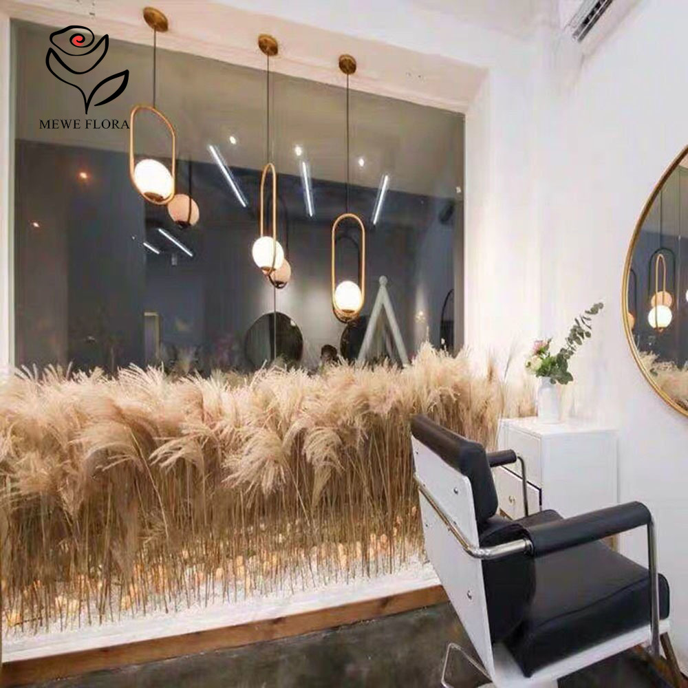 200 قطعة القصب الطبيعي المجفف  - مراجعة Pampas Grass Decor وسعره