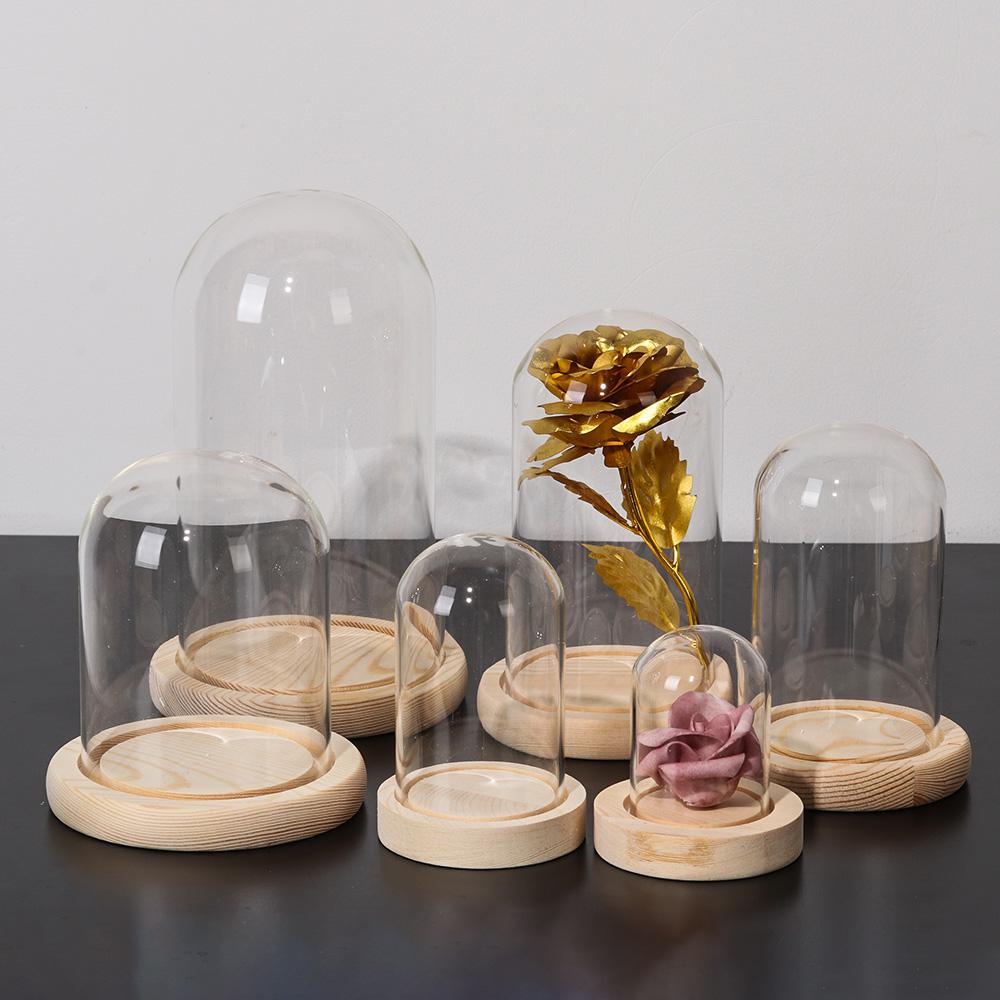 مزهرية زجاجية للديكور المنزلي  - مراجعة Home Decor Vase وسعره