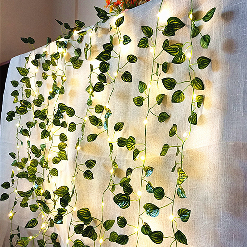 أضواء LED للزفاف تعمل بالبطاري - مراجعة Fairy Lights Bedroom وسعره