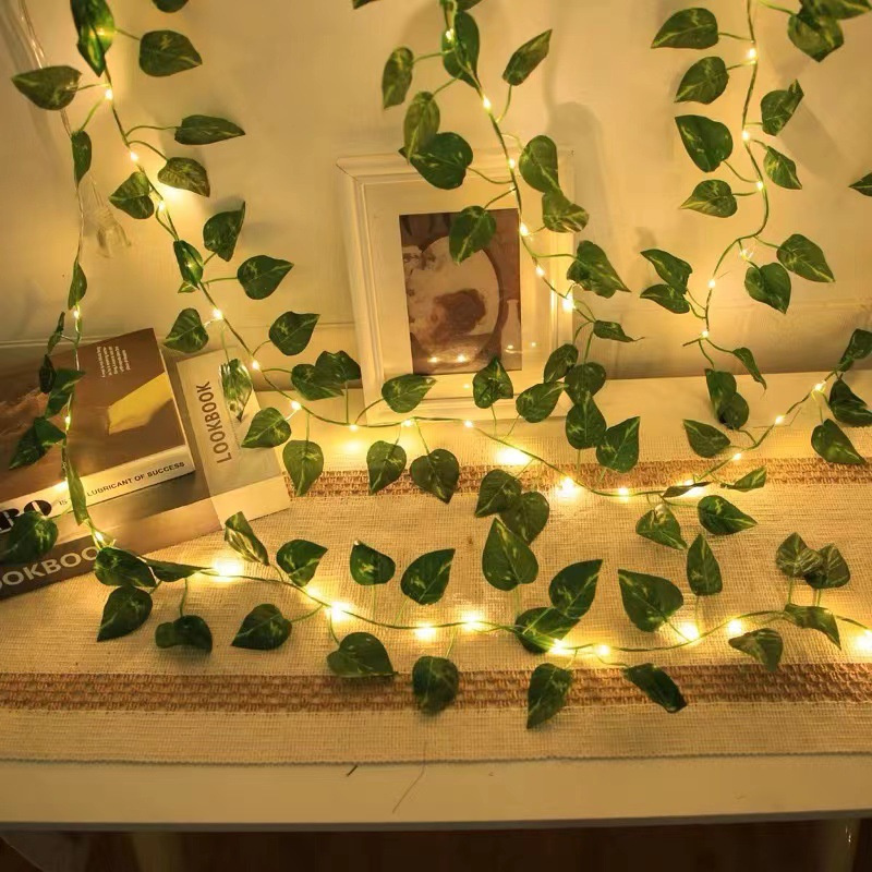أضواء LED للزفاف تعمل بالبطاري - مراجعة Fairy Lights Bedroom وسعره