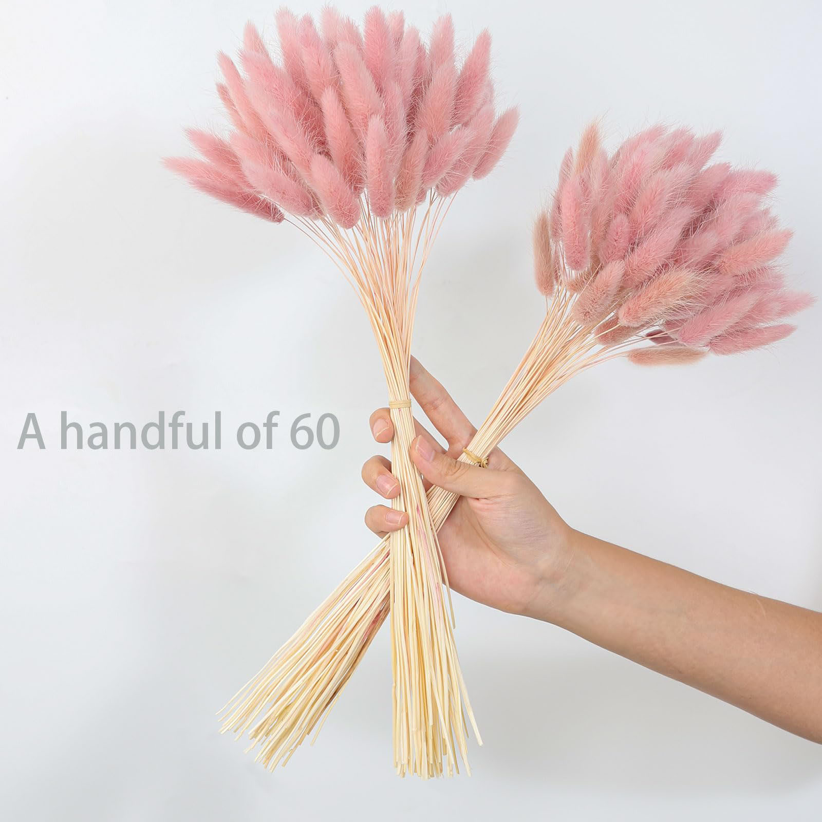 120 الجذعية الوردي المجففة بام - مراجعة Pampas Grass Decor وسعره
