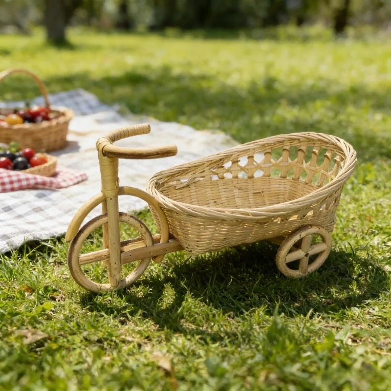 مستلزمات تصوير المواليد الجدد، - مراجعة Home Decor Rattan وسعره