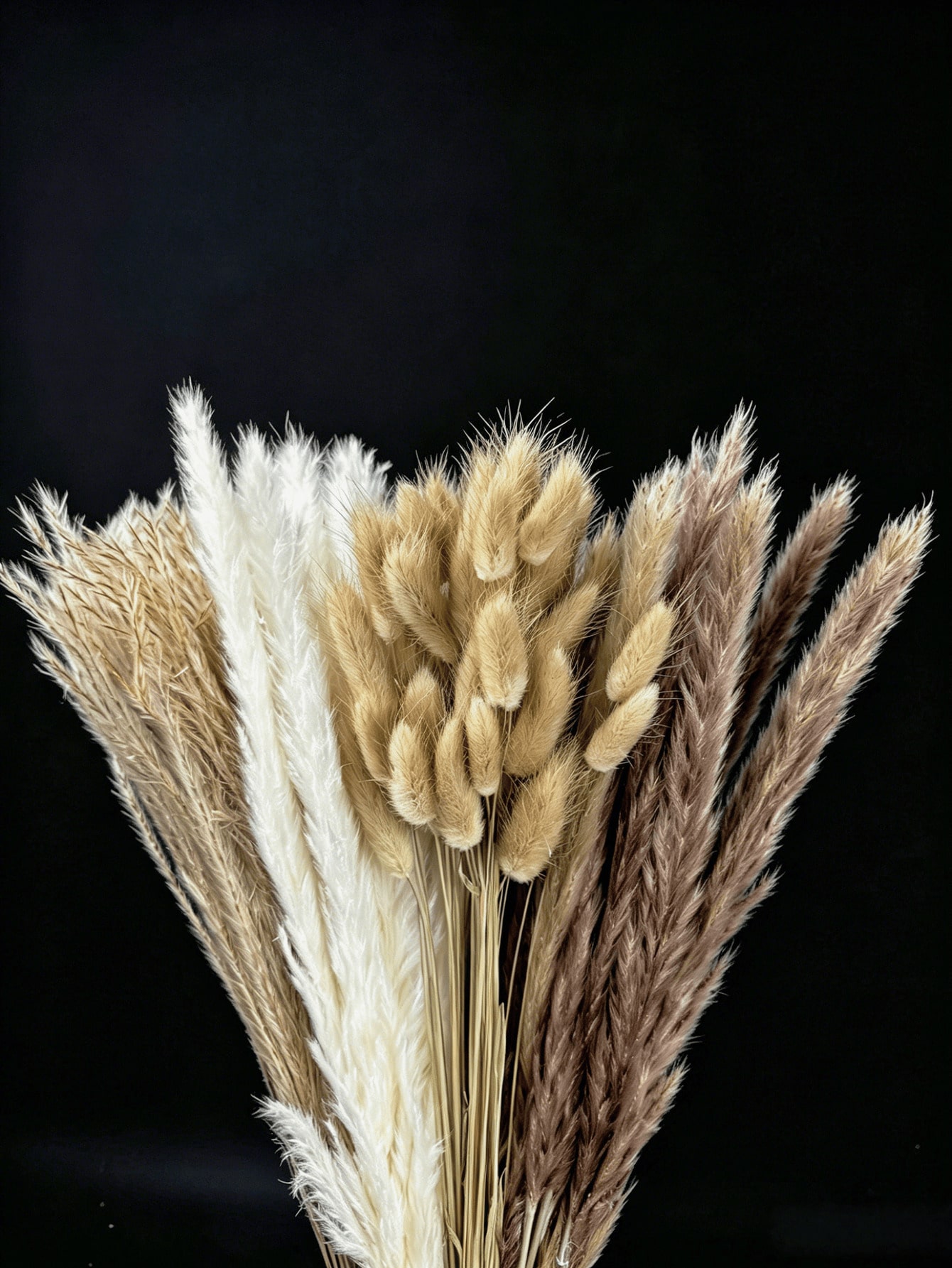 10/20/30 قطعة من عشب البامباس  - مراجعة Pampas Grass Decor وسعره