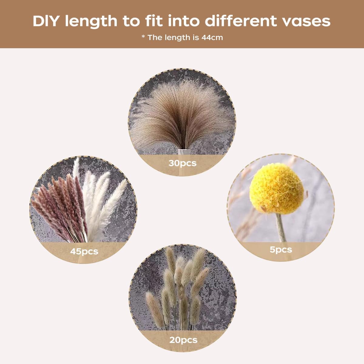 باقة عشب البامباس المجفف، زهور - مراجعة Pampas Grass Decor وسعره