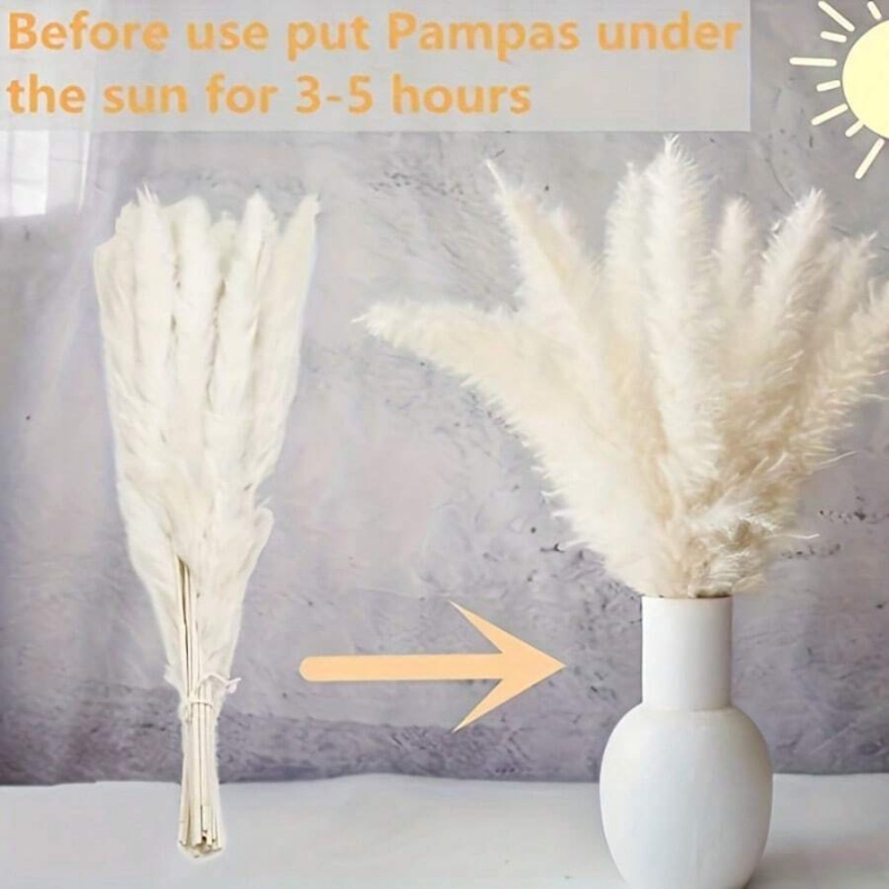 110 قطعة من باقة عشب البامباس  - مراجعة Pampas Grass Decor وسعره