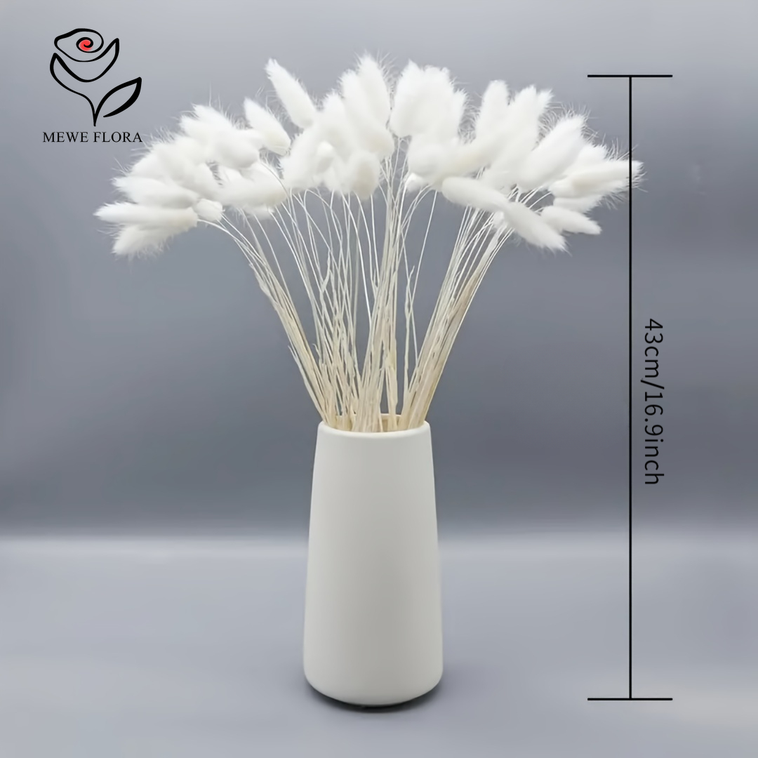 150 قطعة ذيول أرنب رقيق طبيعي  - مراجعة Pampas Grass Decor وسعره